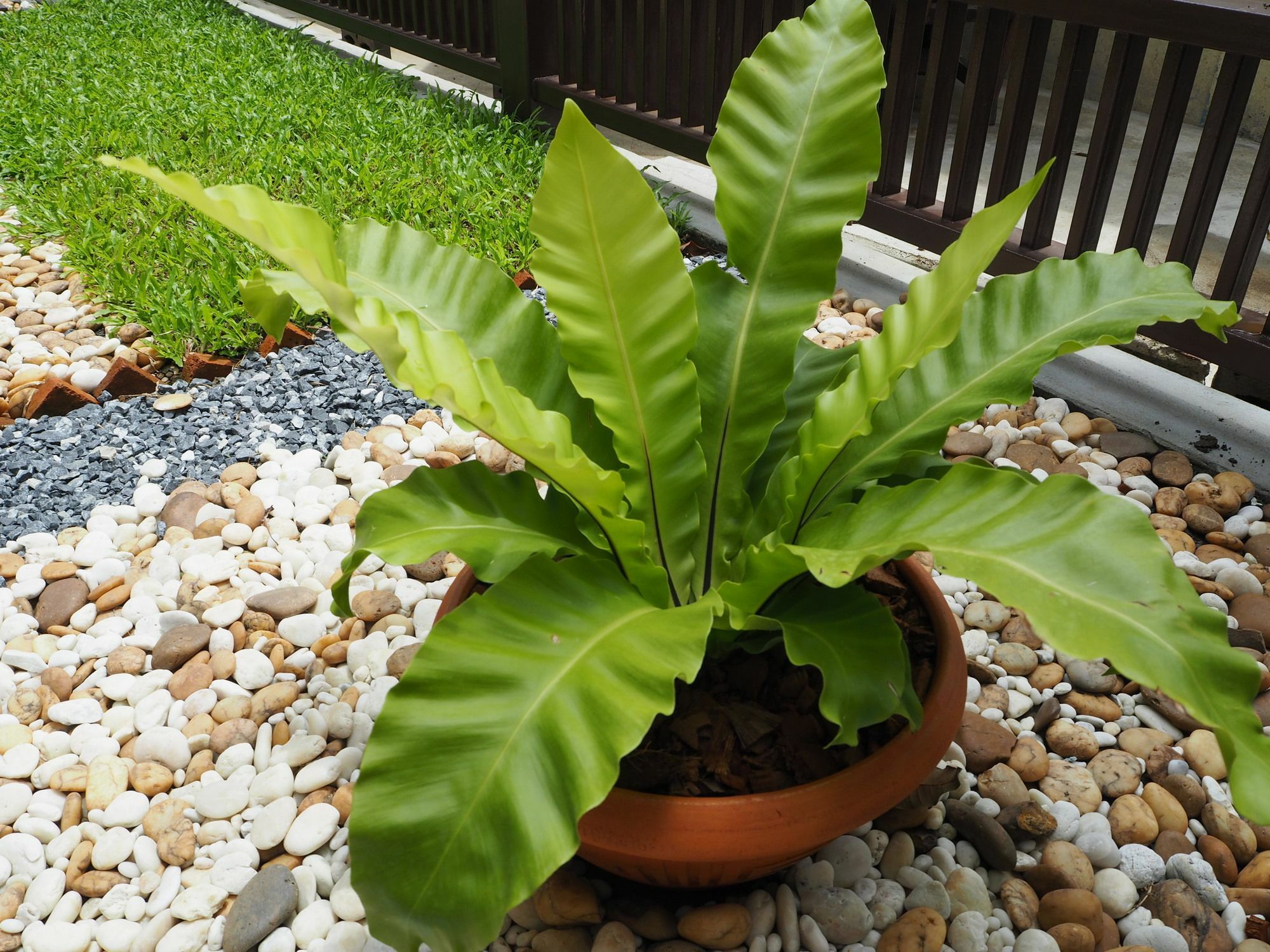 Sukhumvit 50 Garden Home Ban Khlong Nang Li Ngoại thất bức ảnh